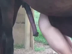 Zoo Sex Lol