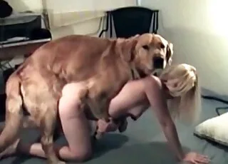 Close-up animal porn action on tight framing