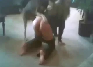 Hot pussy gets fucked silly in a 10-min zoo clip