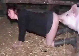 Farm pig sex with a zoophilic wife in the barn
