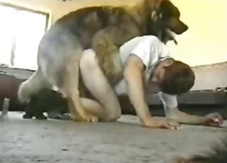 3D yellow zoophile hooker takes beast in raw animation